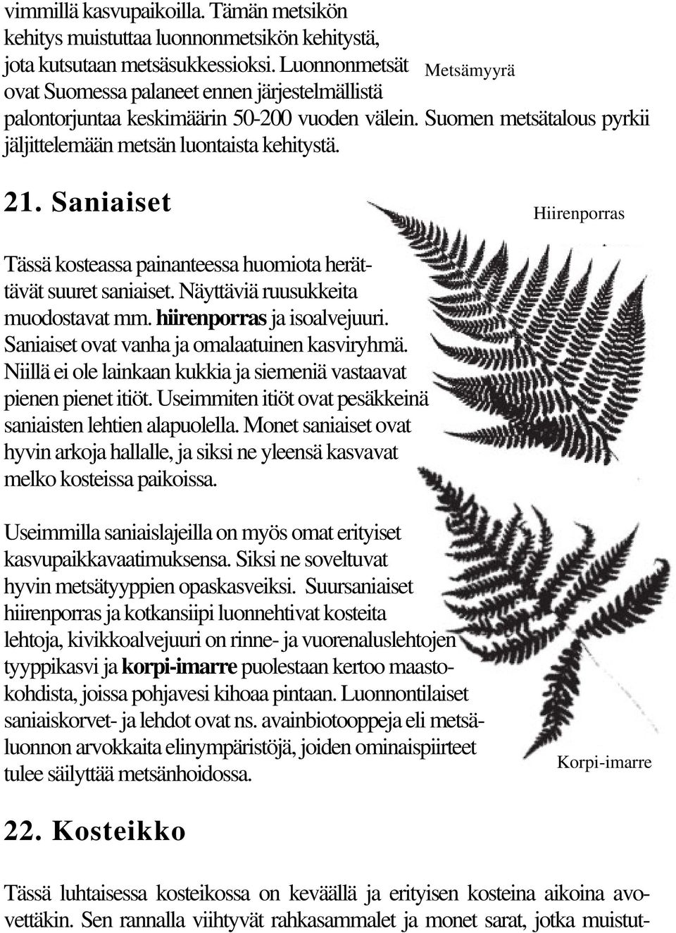 Saniaiset Hiirenporras Tässä kosteassa painanteessa huomiota herättävät suuret saniaiset. Näyttäviä ruusukkeita muodostavat mm. hiirenporras ja isoalvejuuri.