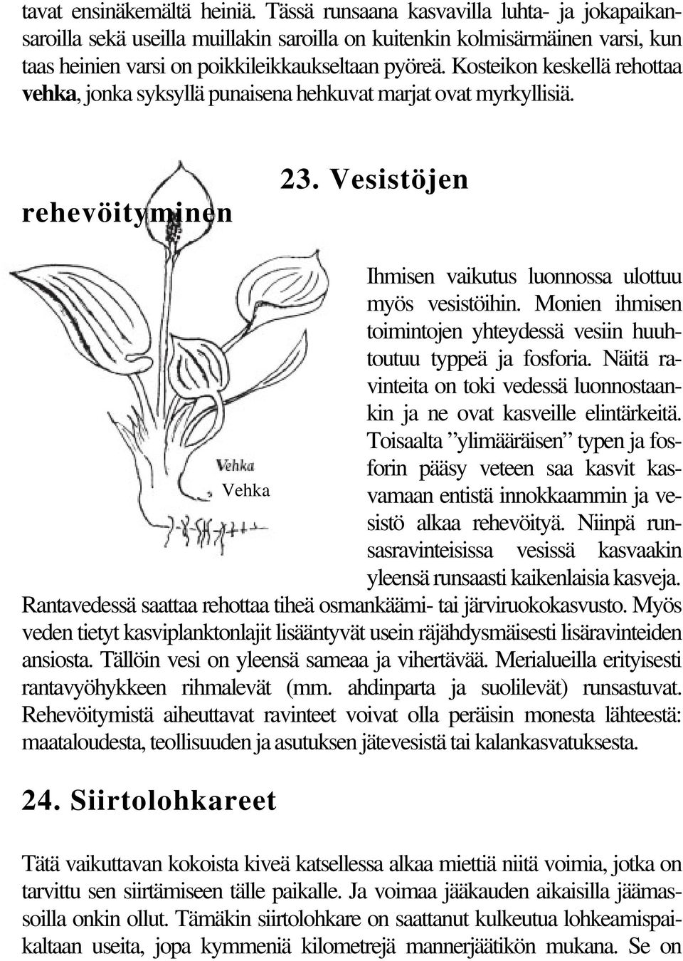 Kosteikon keskellä rehottaa vehka, jonka syksyllä punaisena hehkuvat marjat ovat myrkyllisiä. rehevöityminen 23. Vesistöjen Ihmisen vaikutus luonnossa ulottuu myös vesistöihin.