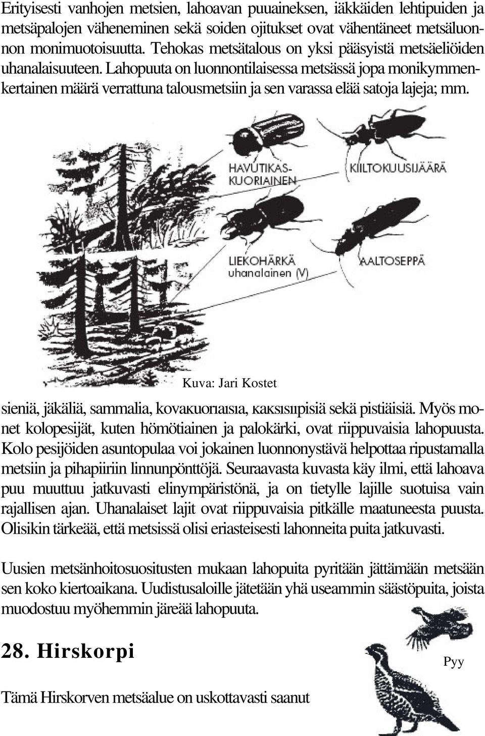 Lahopuuta on luonnontilaisessa metsässä jopa monikymmenkertainen määrä verrattuna talousmetsiin ja sen varassa elää satoja lajeja; mm.