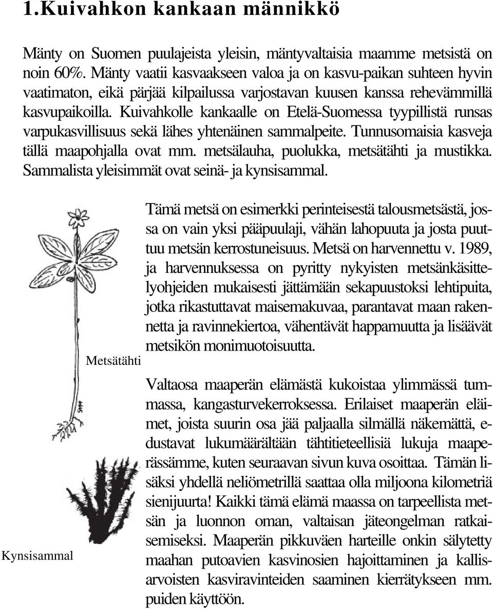 Kuivahkolle kankaalle on Etelä-Suomessa tyypillistä runsas varpukasvillisuus sekä lähes yhtenäinen sammalpeite. Tunnusomaisia kasveja tällä maapohjalla ovat mm.