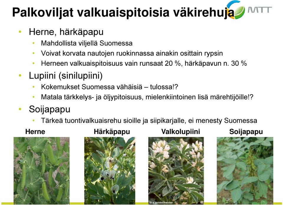 30 % Lupiini i (sinilupiini) il ii i) Kokemukset Suomessa vähäisiä tulossa!