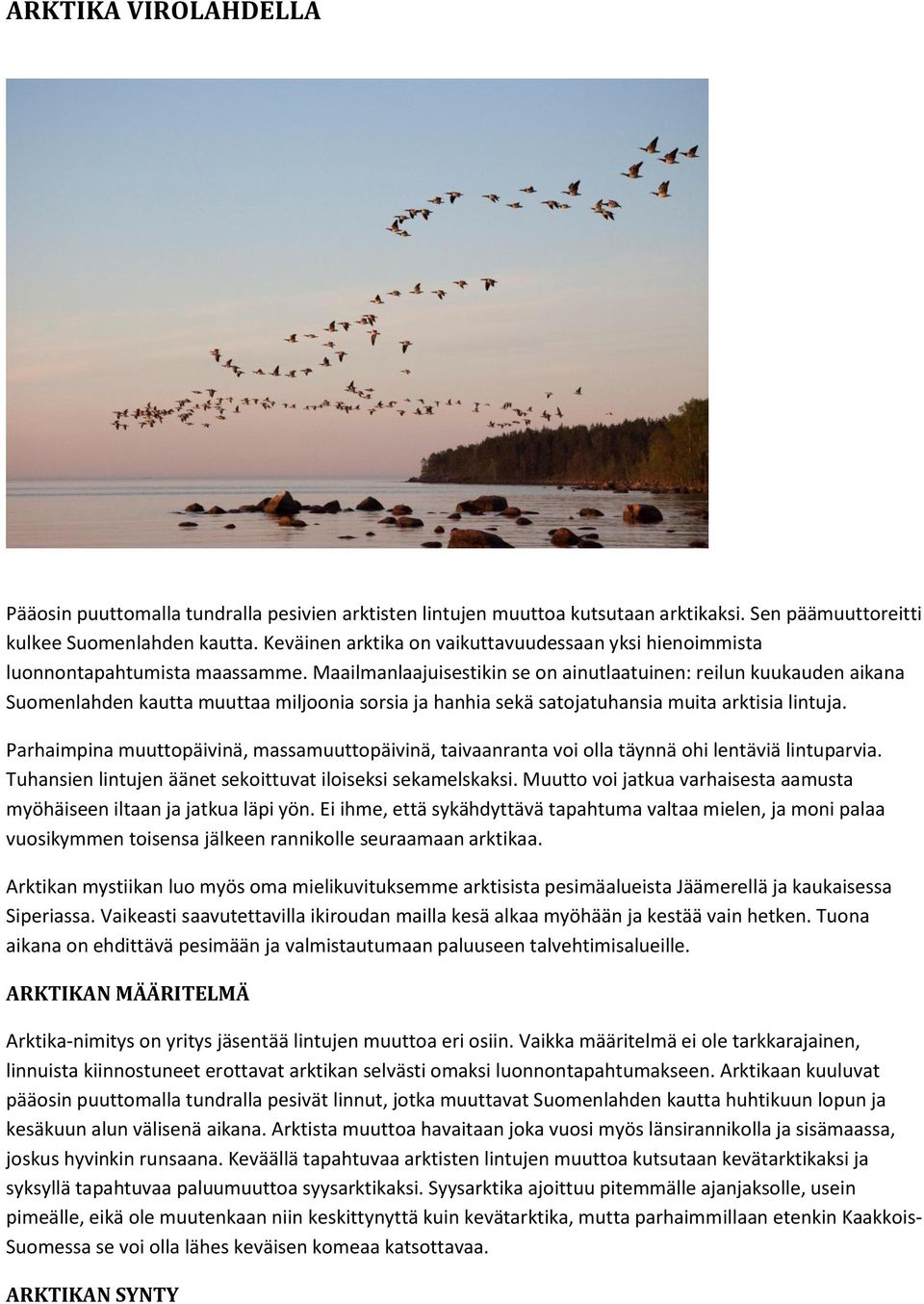 Maailmanlaajuisestikin se on ainutlaatuinen: reilun kuukauden aikana Suomenlahden kautta muuttaa miljoonia sorsia ja hanhia sekä satojatuhansia muita arktisia lintuja.