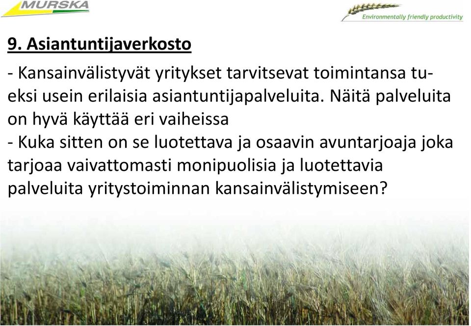 Näitä palveluita on hyvä käyttää eri vaiheissa Kuka sitten on se luotettava ja