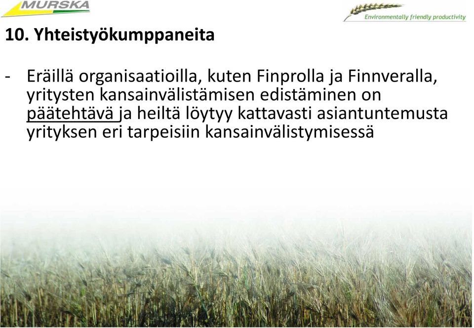 edistäminen on päätehtävä ja heiltä löytyy kattavasti