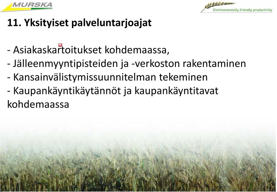 rakentaminen Kansainvälistymissuunnitelman tekeminen