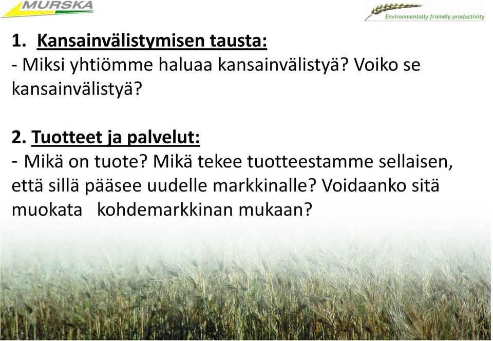 Tuotteet ja palvelut: - Mikä on tuote?