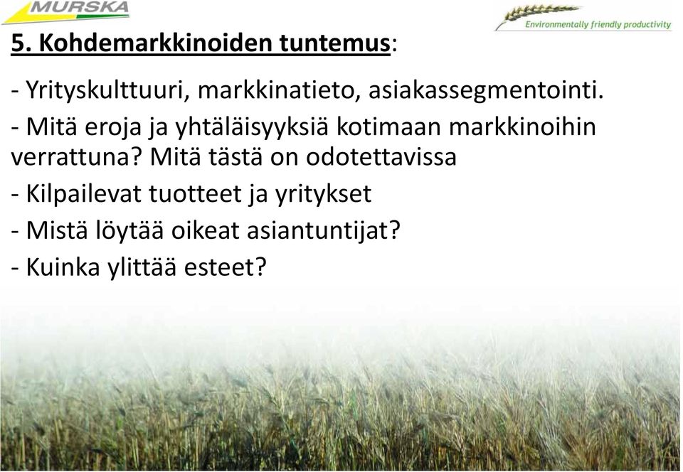 Mitä eroja ja yhtäläisyyksiä kotimaan markkinoihin verrattuna?