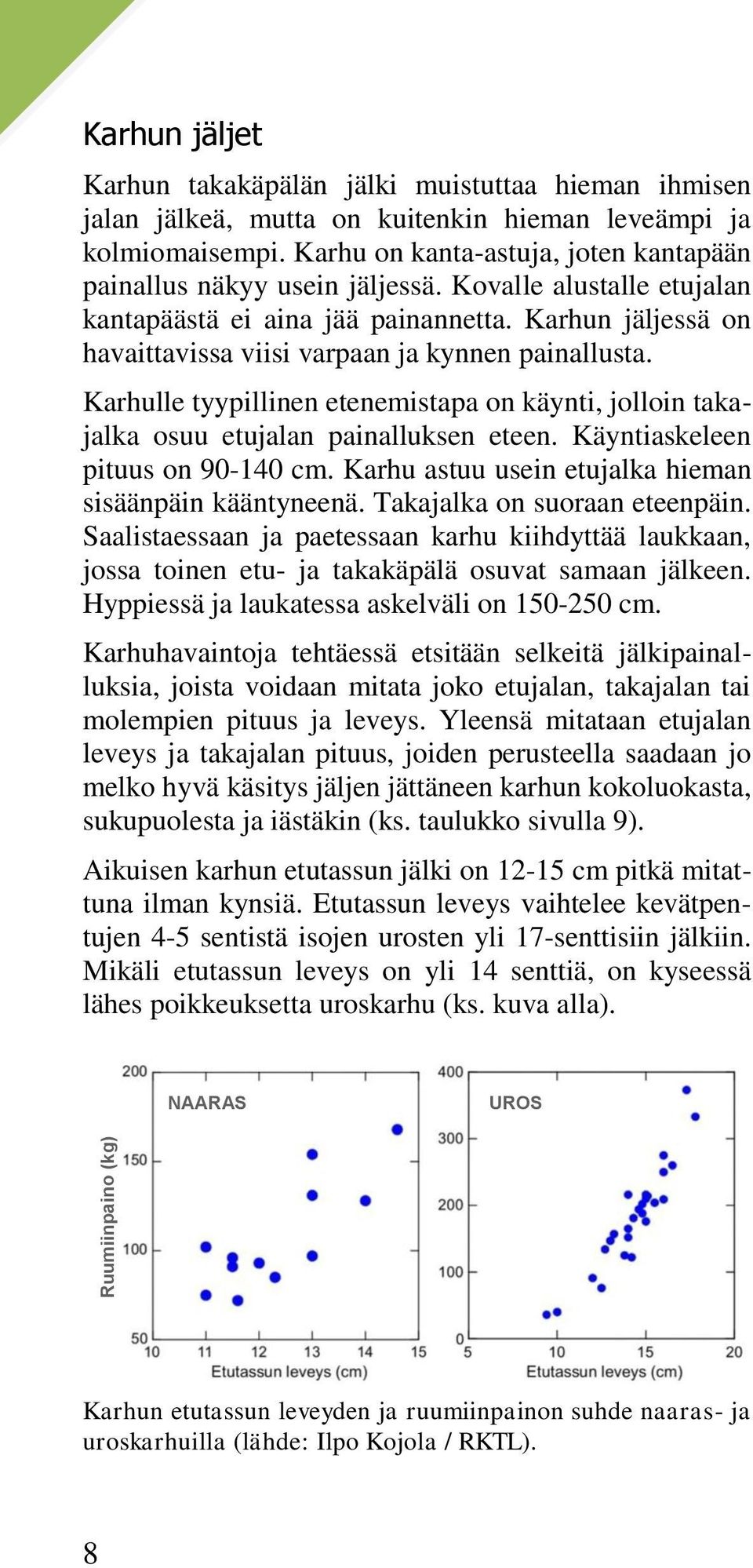 Karhun jäljessä on havaittavissa viisi varpaan ja kynnen painallusta. Karhulle tyypillinen etenemistapa on käynti, jolloin takajalka osuu etujalan painalluksen eteen.