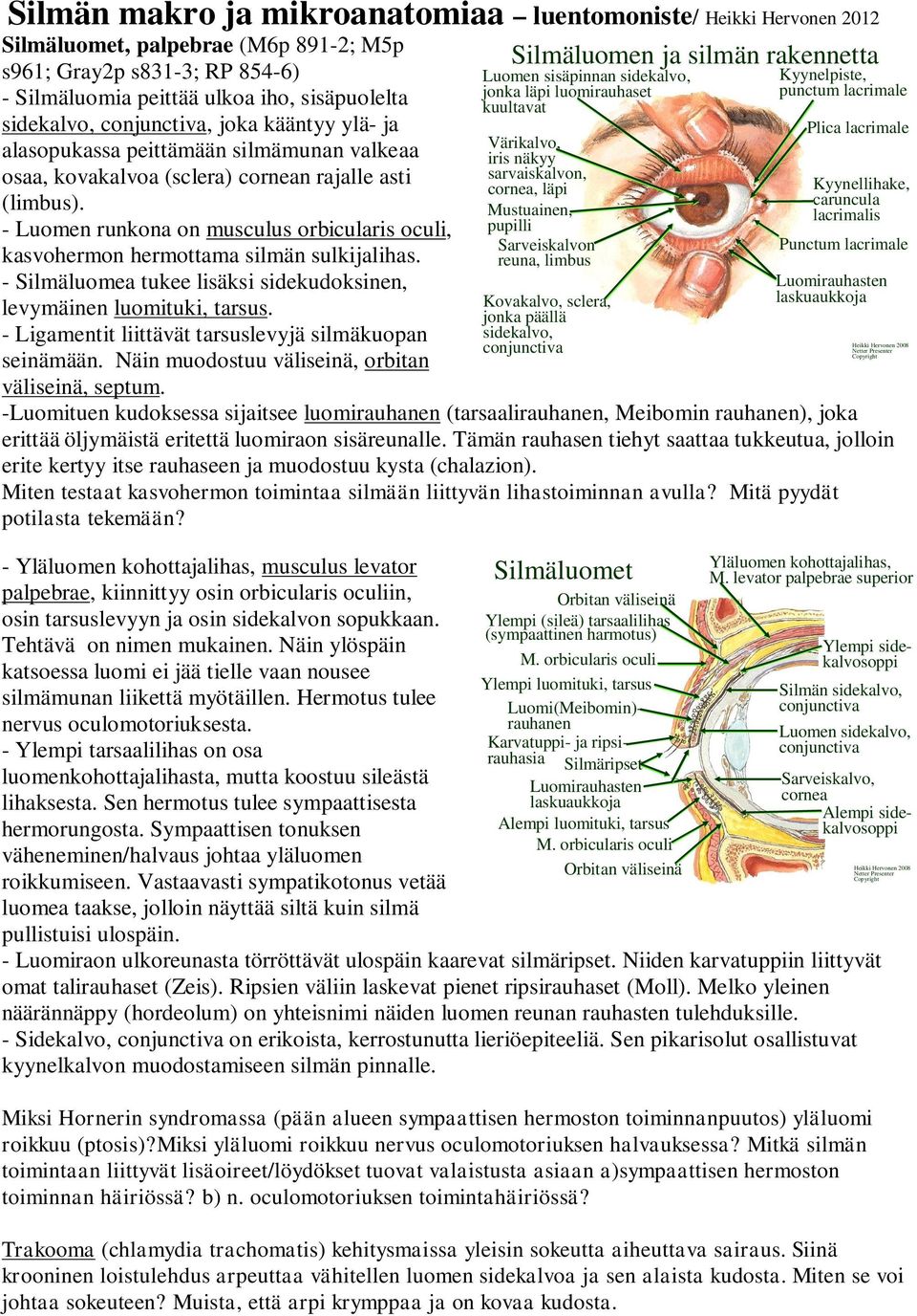 - Luomen runkona on musculus orbicularis oculi, kasvohermon hermottama silmän sulkijalihas. - Silmäluomea tukee lisäksi sidekudoksinen, levymäinen luomituki, tarsus.