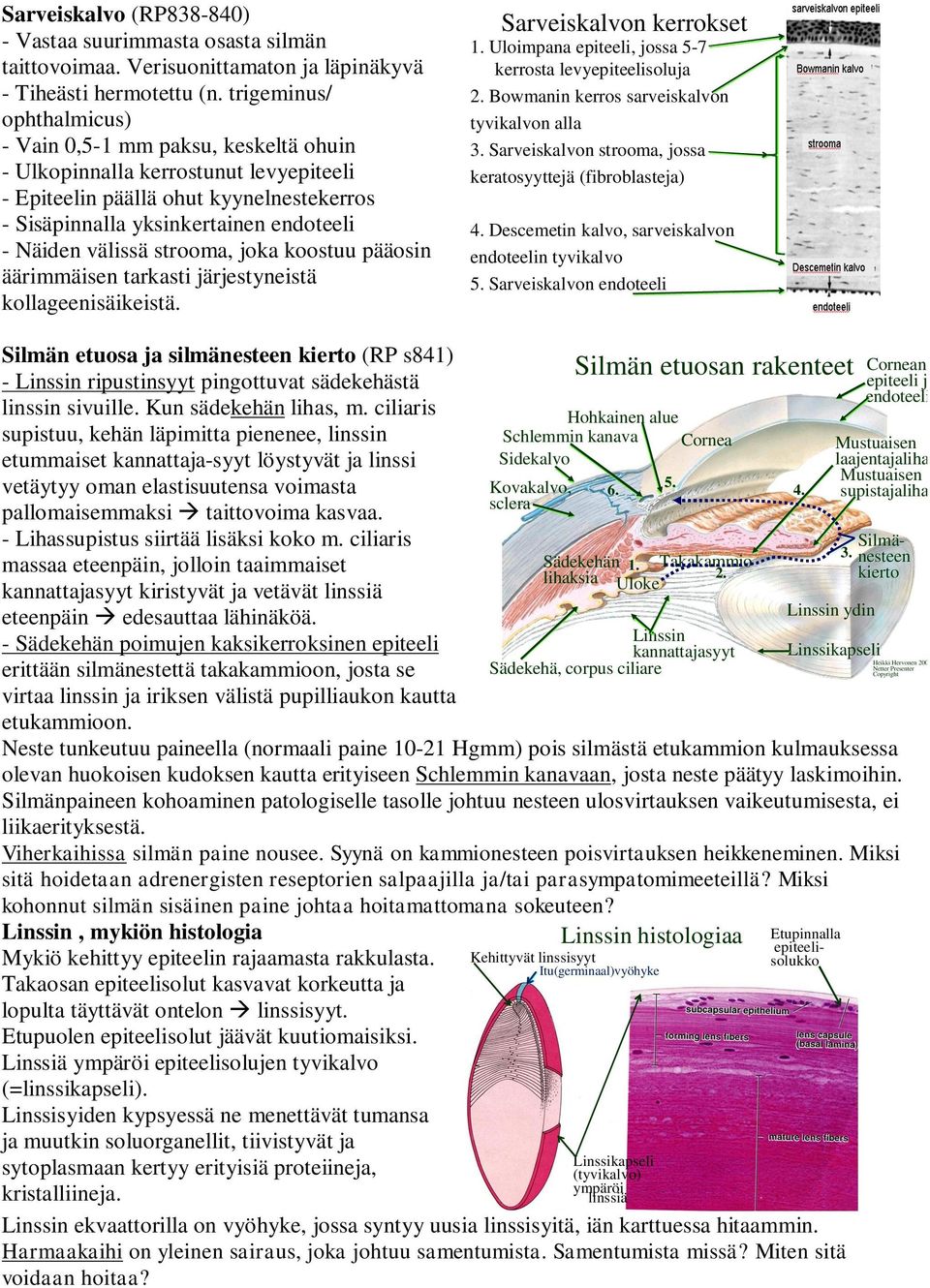 välissä strooma, joka koostuu pääosin äärimmäisen tarkasti järjestyneistä kollageenisäikeistä. Sarveiskalvon kerrokset 1. Uloimpana epiteeli, jossa 5-7 kerrosta levyepiteelisoluja 2.