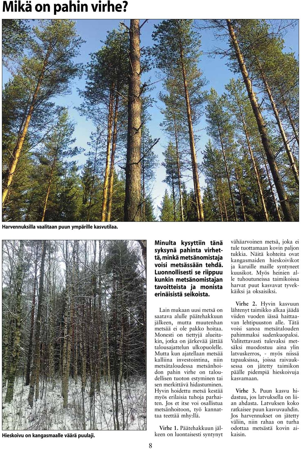 Lain mukaan uusi metsä on saatava alulle päätehakkuun jälkeen, mutta muutenhan metsää ei ole pakko hoitaa. Monesti on tiettyjä alueitakin, jotka on järkevää jättää talousajattelun ulkopuolelle.