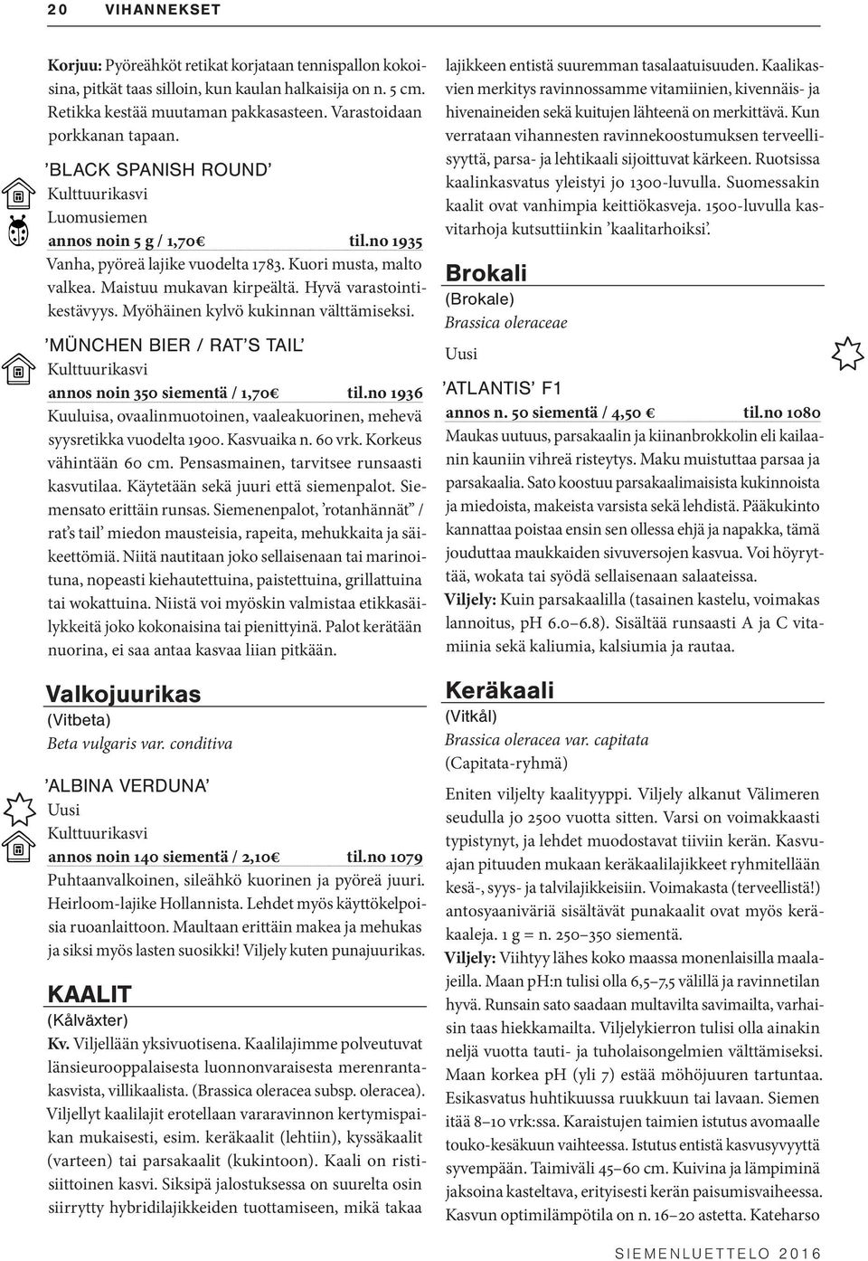 Myöhäinen kylvö kukinnan välttämiseksi. MÜNCHEN BIER / RAT S TAIL annos noin 350 siementä / 1,70 til.no 1936 Kuuluisa, ovaalinmuotoinen, vaaleakuorinen, mehevä syysretikka vuodelta 1900. Kasvuaika n.