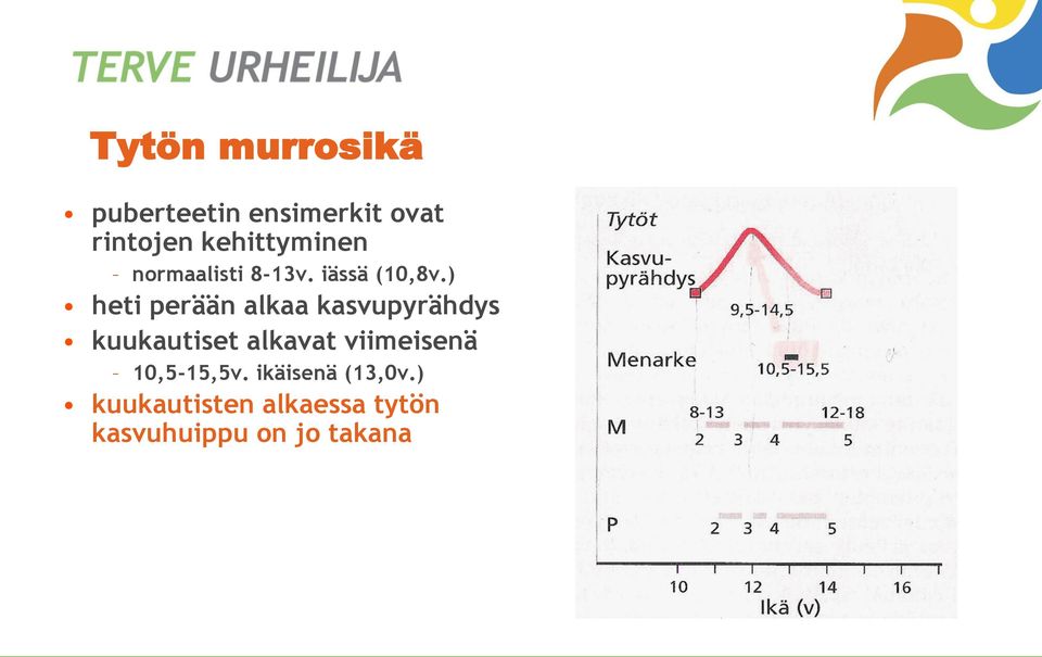 ) heti perään alkaa kasvupyrähdys kuukautiset alkavat
