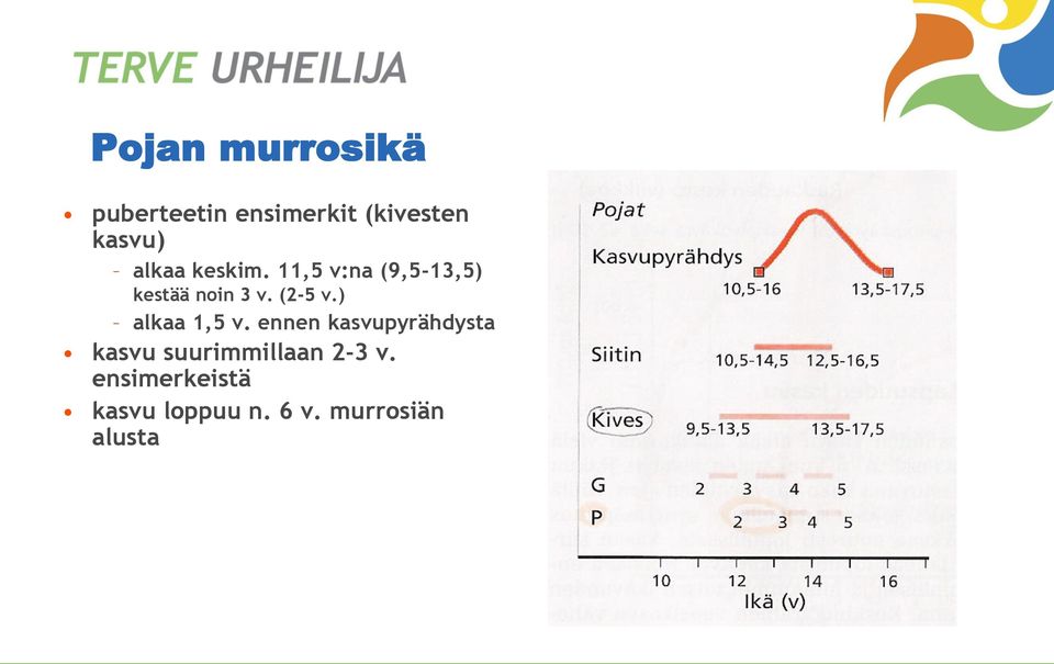 (2-5 v.) alkaa 1,5 v.