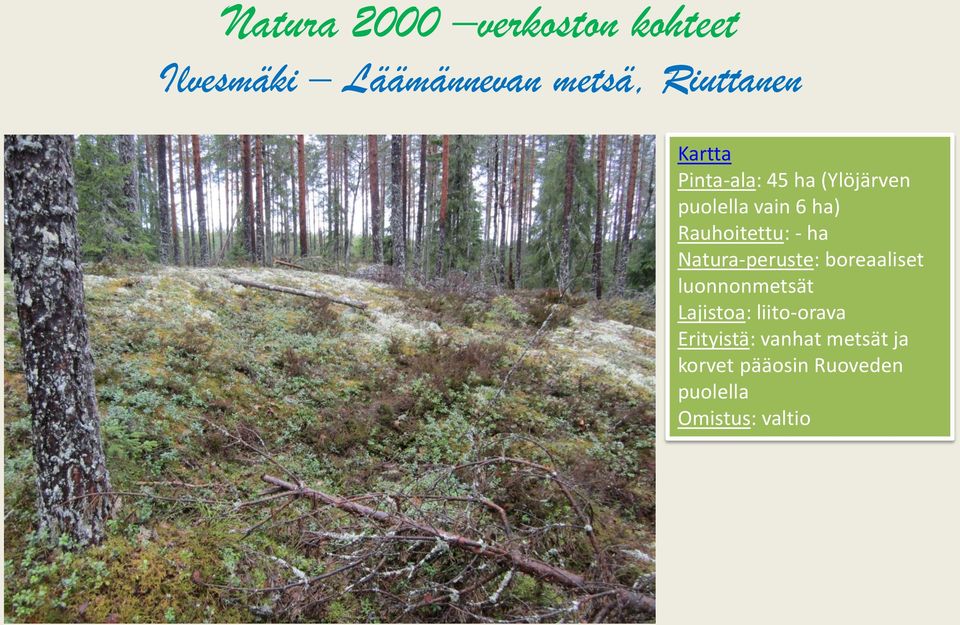 Natura-peruste: boreaaliset luonnonmetsät Lajistoa: