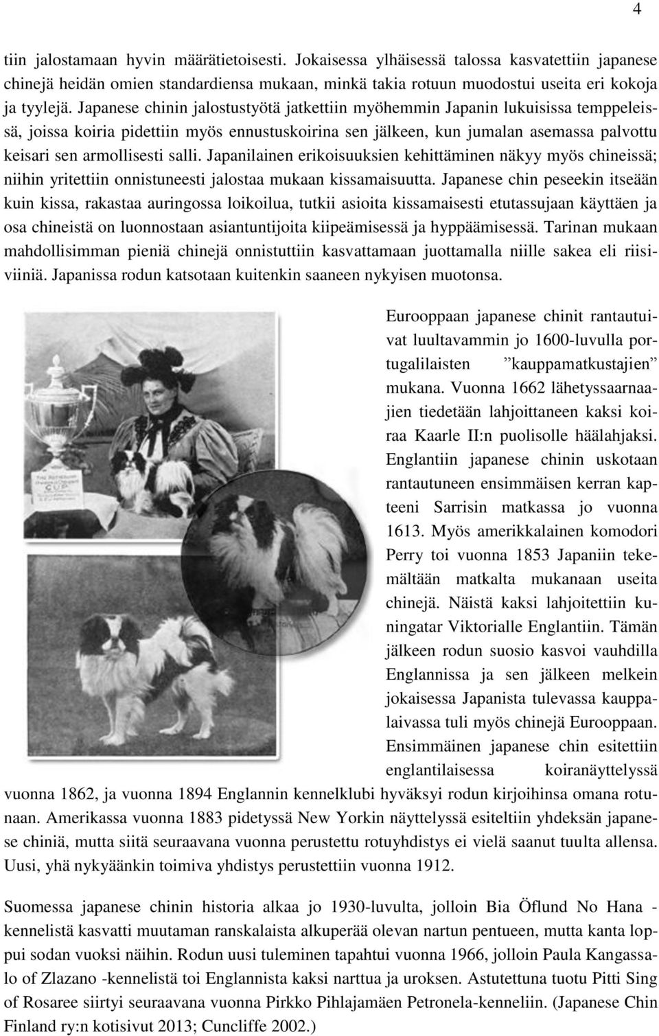 salli. Japanilainen erikoisuuksien kehittäminen näkyy myös chineissä; niihin yritettiin onnistuneesti jalostaa mukaan kissamaisuutta.