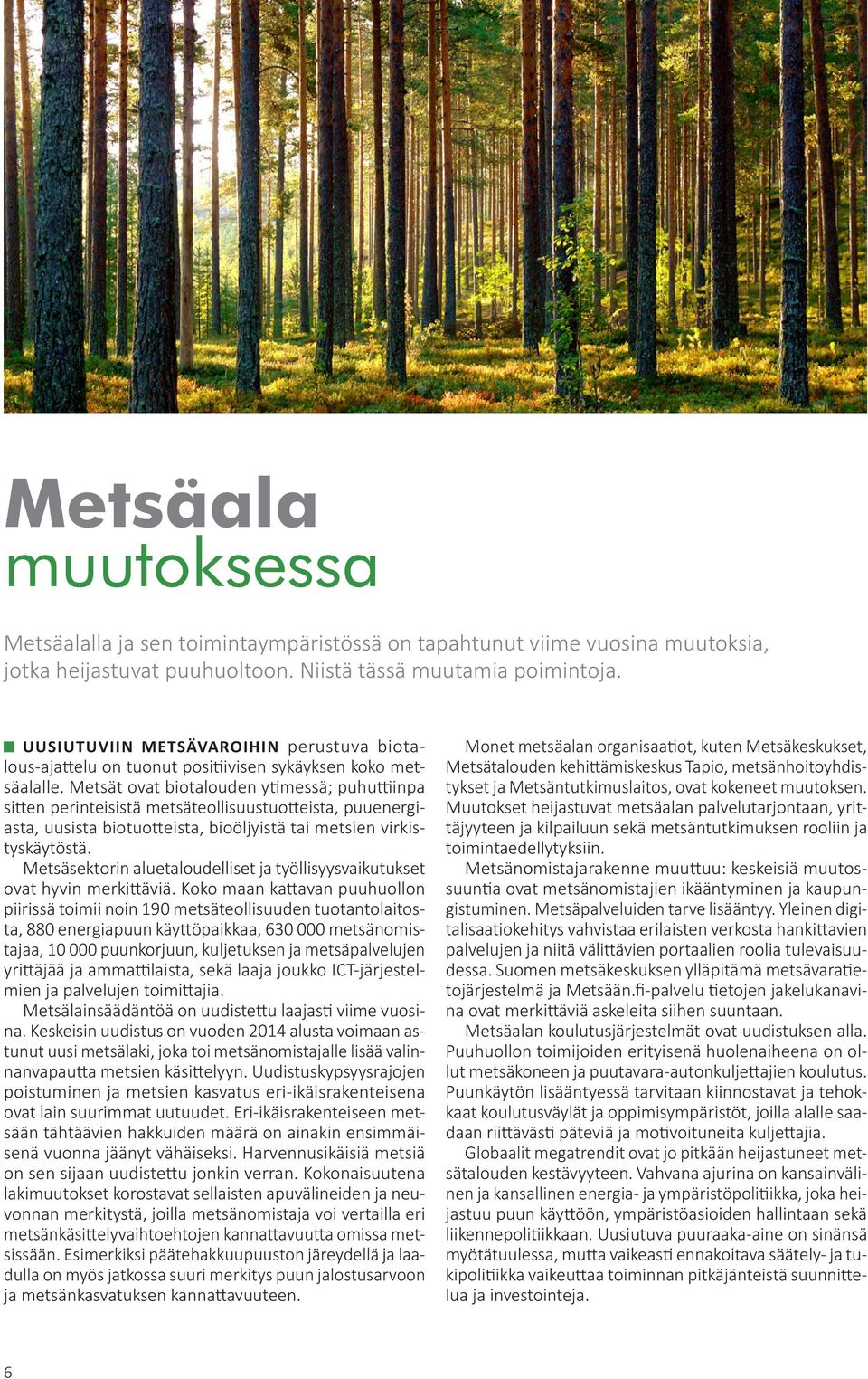 Metsät ovat biotalouden ytimessä; puhuttiinpa sitten perinteisistä metsäteollisuustuotteista, puuenergiasta, uusista biotuotteista, bioöljyistä tai metsien virkistyskäytöstä.