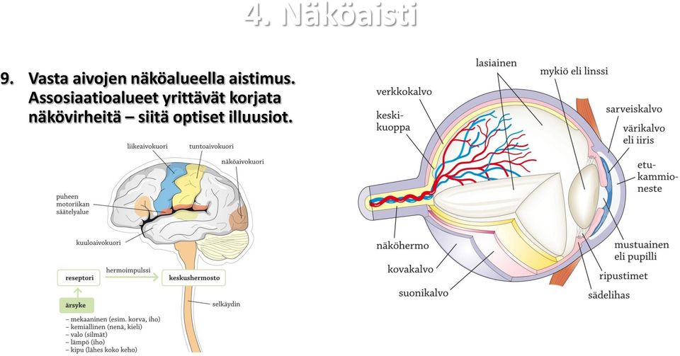 Assosiaatioalueet yrittävät