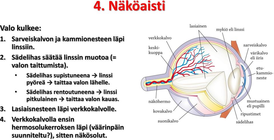 Sädelihas supistuneena linssi pyöreä taittaa valon lähelle.