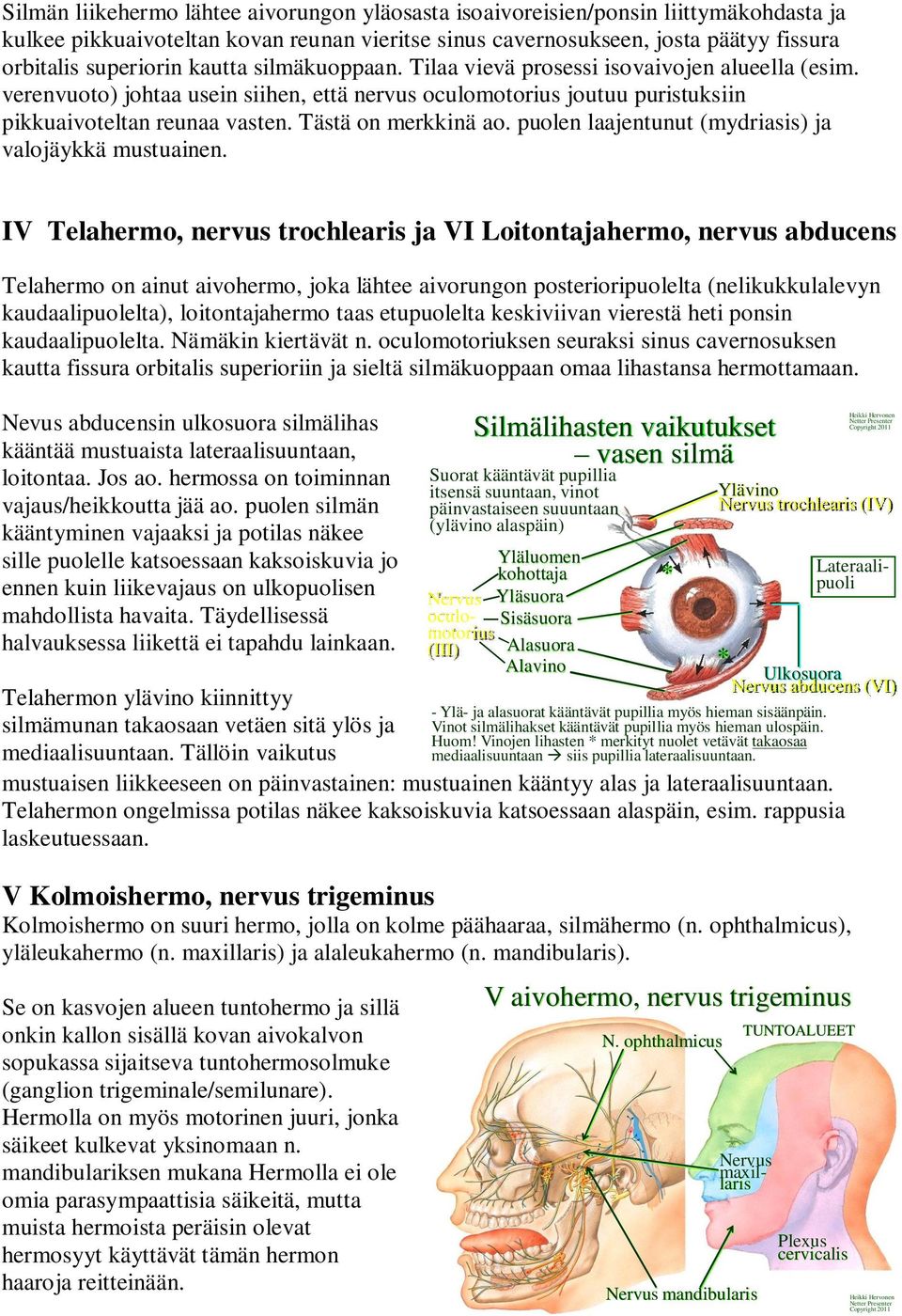 Tästä on merkkinä ao. puolen laajentunut (mydriasis) ja valojäykkä mustuainen.