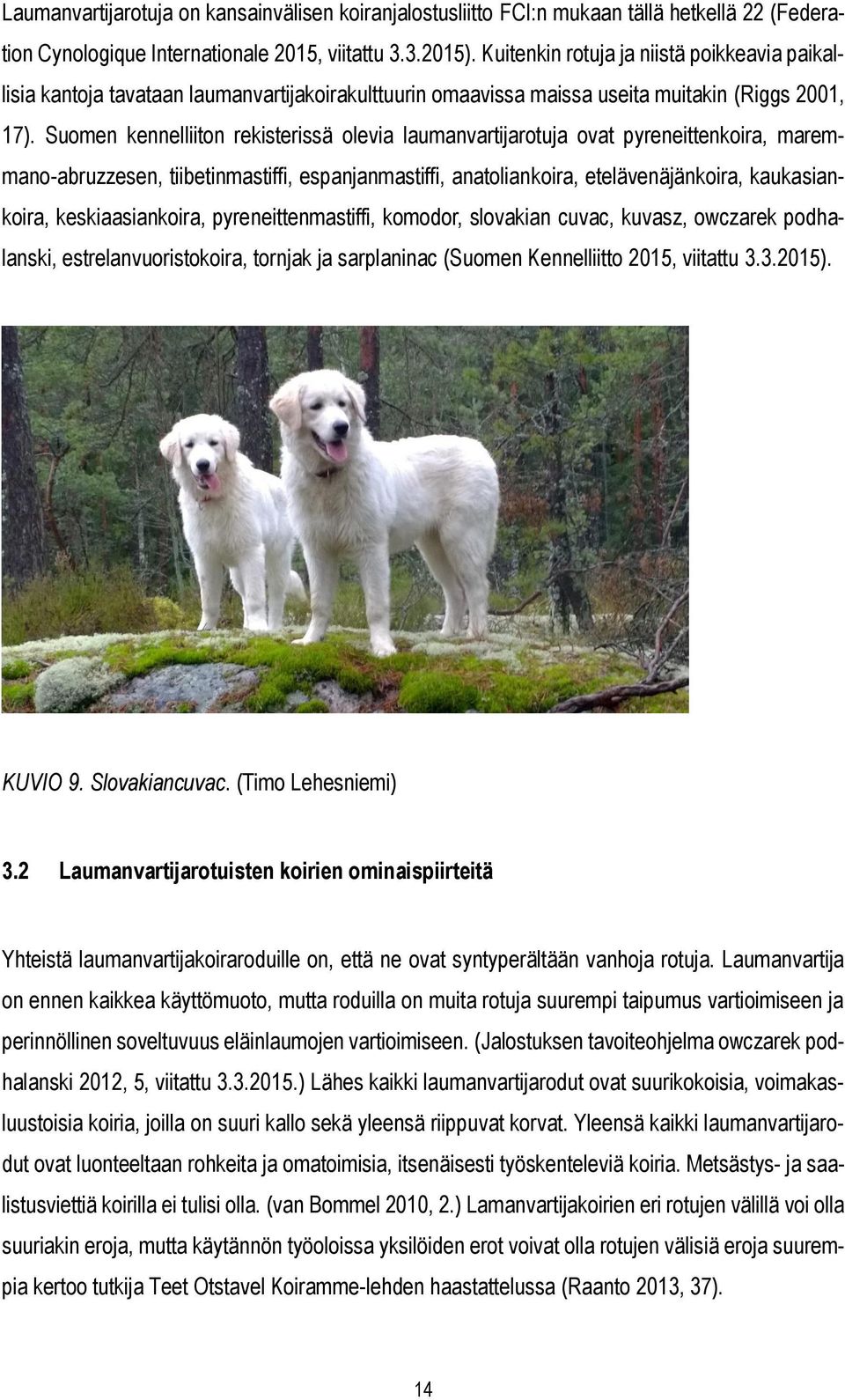 Suomen kennelliiton rekisterissä olevia laumanvartijarotuja ovat pyreneittenkoira, maremmano-abruzzesen, tiibetinmastiffi, espanjanmastiffi, anatoliankoira, etelävenäjänkoira, kaukasiankoira,