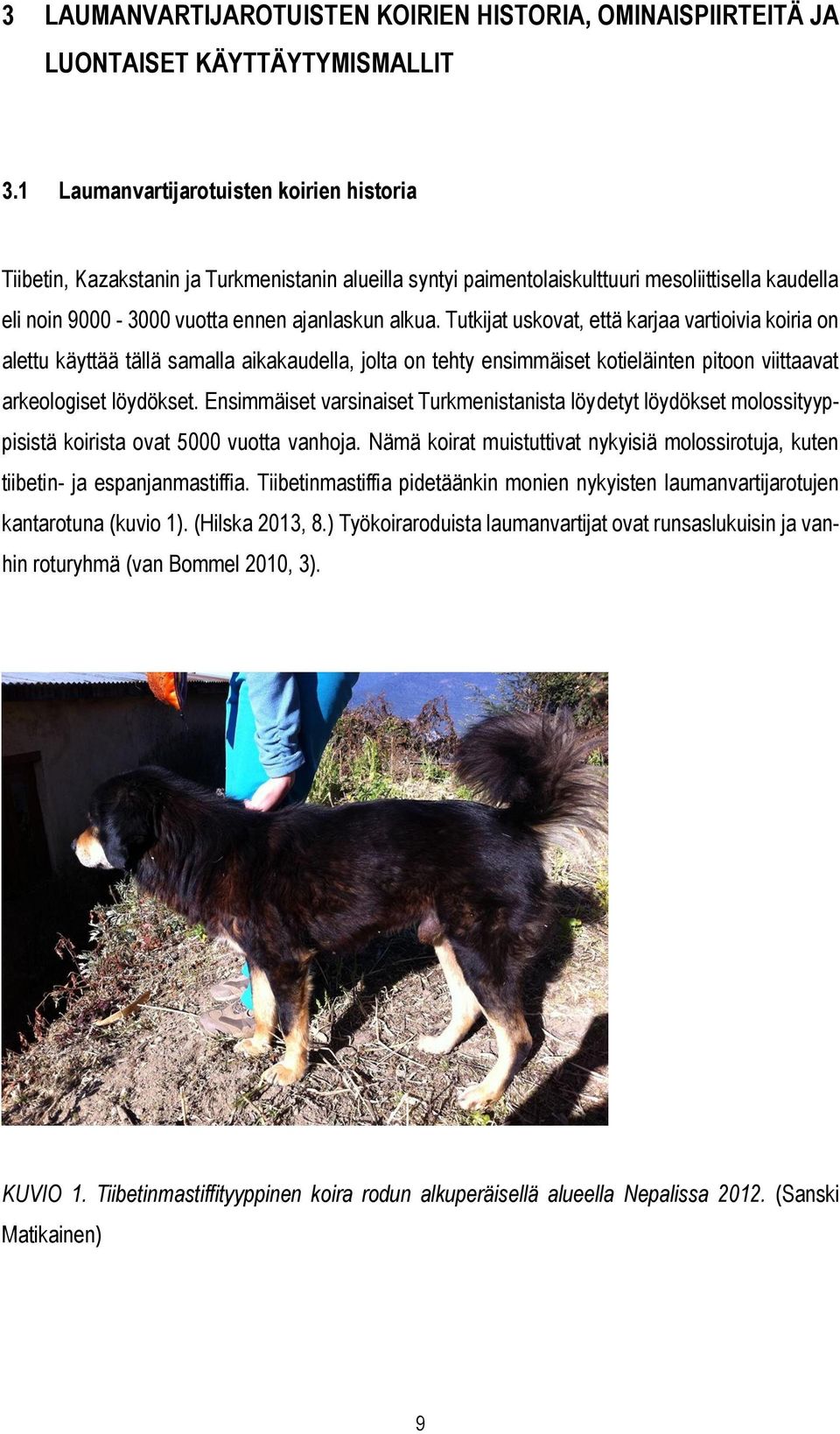Tutkijat uskovat, että karjaa vartioivia koiria on alettu käyttää tällä samalla aikakaudella, jolta on tehty ensimmäiset kotieläinten pitoon viittaavat arkeologiset löydökset.