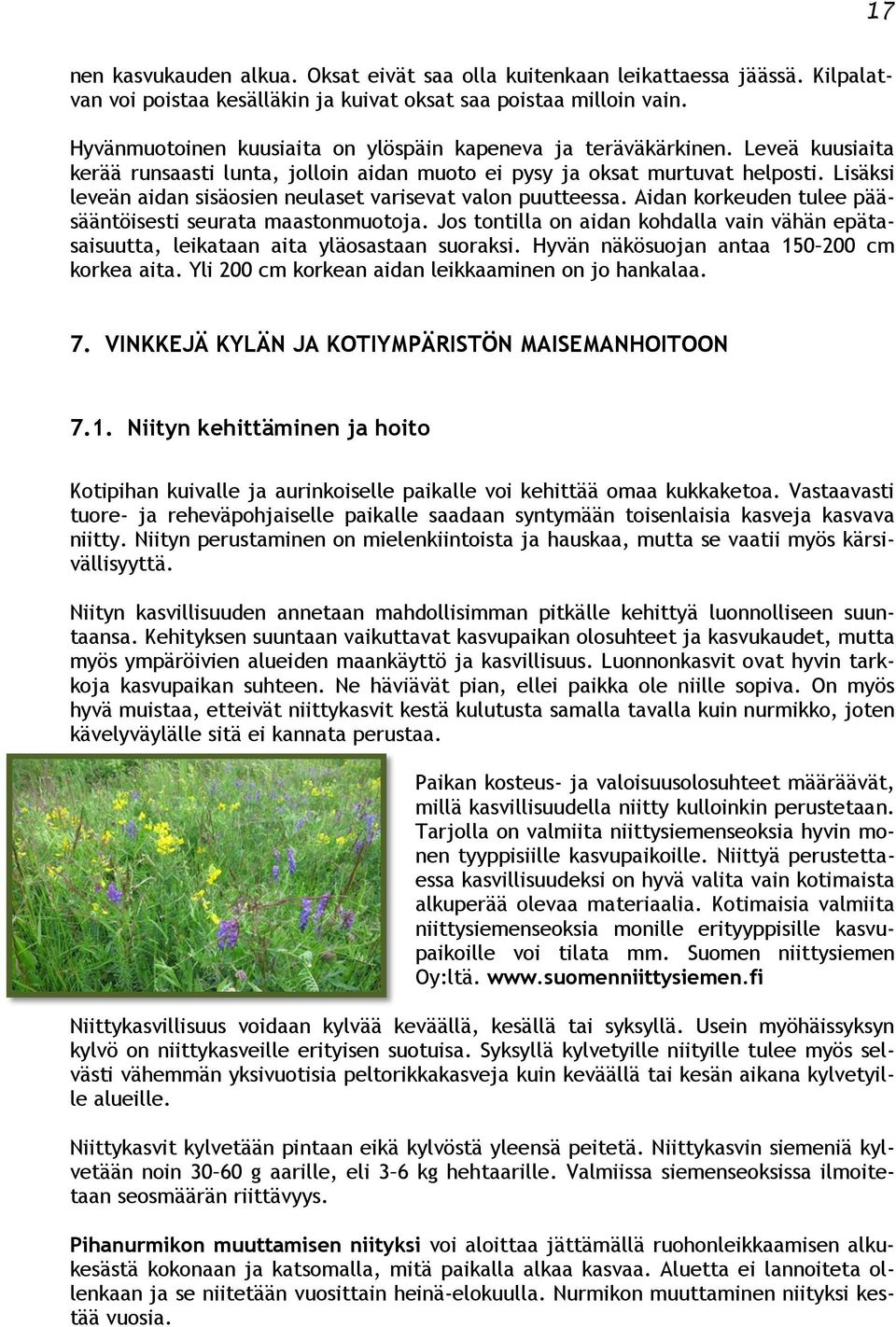Lisäksi leveän aidan sisäosien neulaset varisevat valon puutteessa. Aidan korkeuden tulee pääsääntöisesti seurata maastonmuotoja.