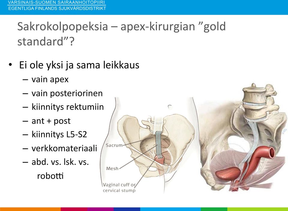 posteriorinen kiinnitys rektumiin ant + post