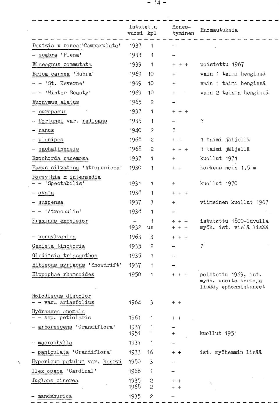 radicans 1935 1 - nanus 1940 2 - planipes 1968 2 ++ 1 taimi jäljellä - sachalinensis 1968 2 +++ 1 taimi jäljellä Exochorda racemosa 1937 1 kuollut 1971 Fagus silvatica 'Atropunicea' 1930 1 ++ korkeus