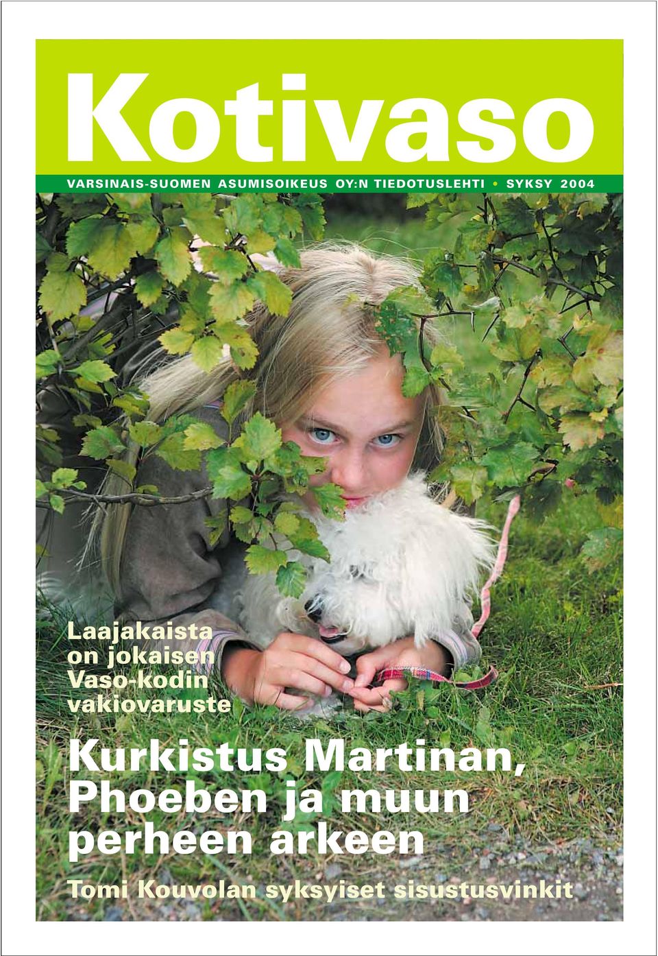 Vaso-kodin vakiovaruste Kurkistus Martinan, Phoeben