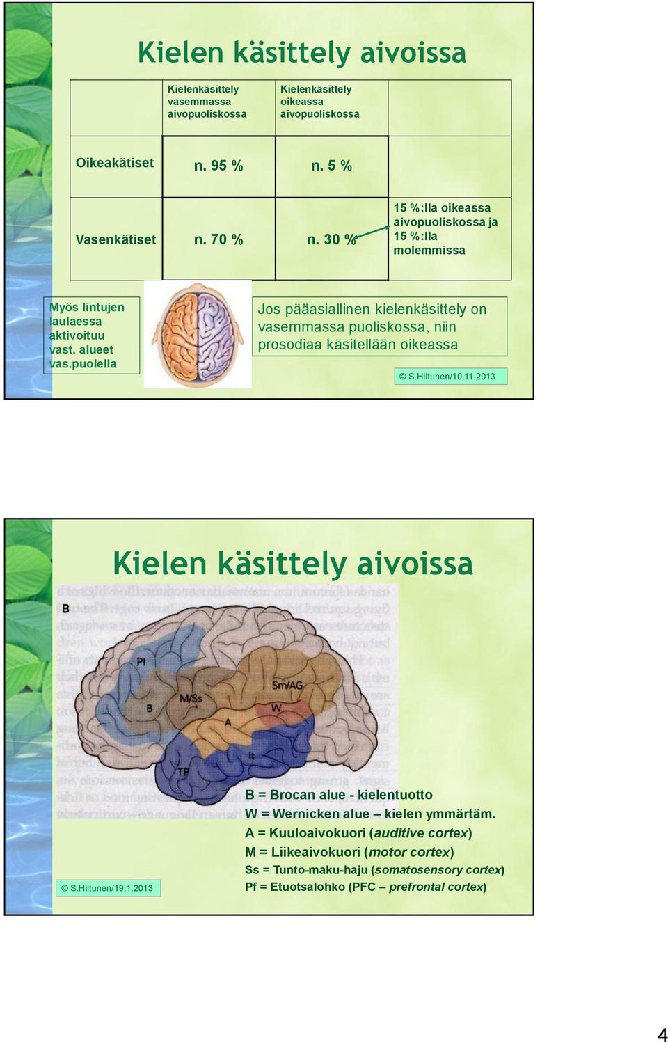 puolella Jos pääasiallinen kielenkäsittely on vasemmassa puoliskossa, niin prosodiaa käsitellään oikeassa S.Hiltunen/10.11.2013 Kielen käsittely aivoissa S.Hiltunen/19.