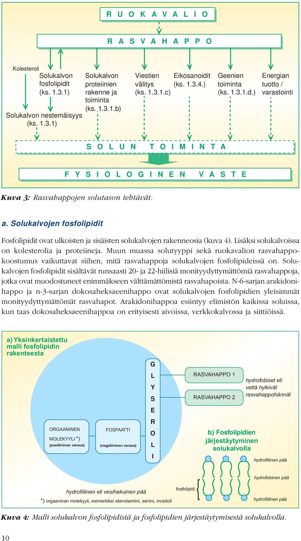 Solukalvojen fosfolipidit Fosfolipidit ovat ulkoisten ja sisäisten solukalvojen rakenneosia (kuva 4). Lisäksi solukalvoissa on kolesterolia ja proteiineja.