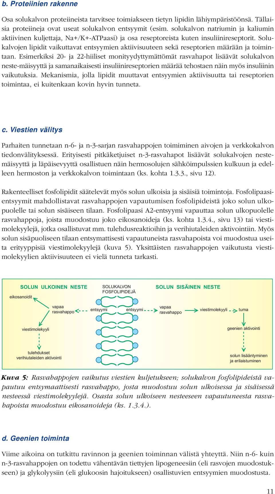 Solukalvojen lipidit vaikuttavat entsyymien aktiivisuuteen sekä reseptorien määrään ja toimintaan.