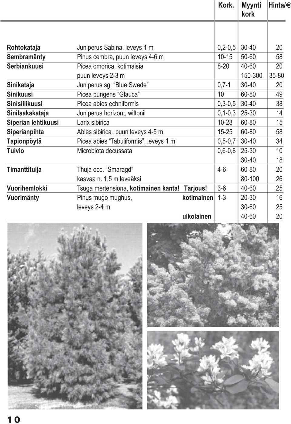 Blue Swede 0,7-1 30-40 20 Sinikuusi Picea pungens Glauca 10 60-80 49 Sinisiilikuusi Picea abies echniformis 0,3-0,5 30-40 38 Sinilaakakataja Juniperus horizont, wiltonii 0,1-0,3 25-30 14 Siperian