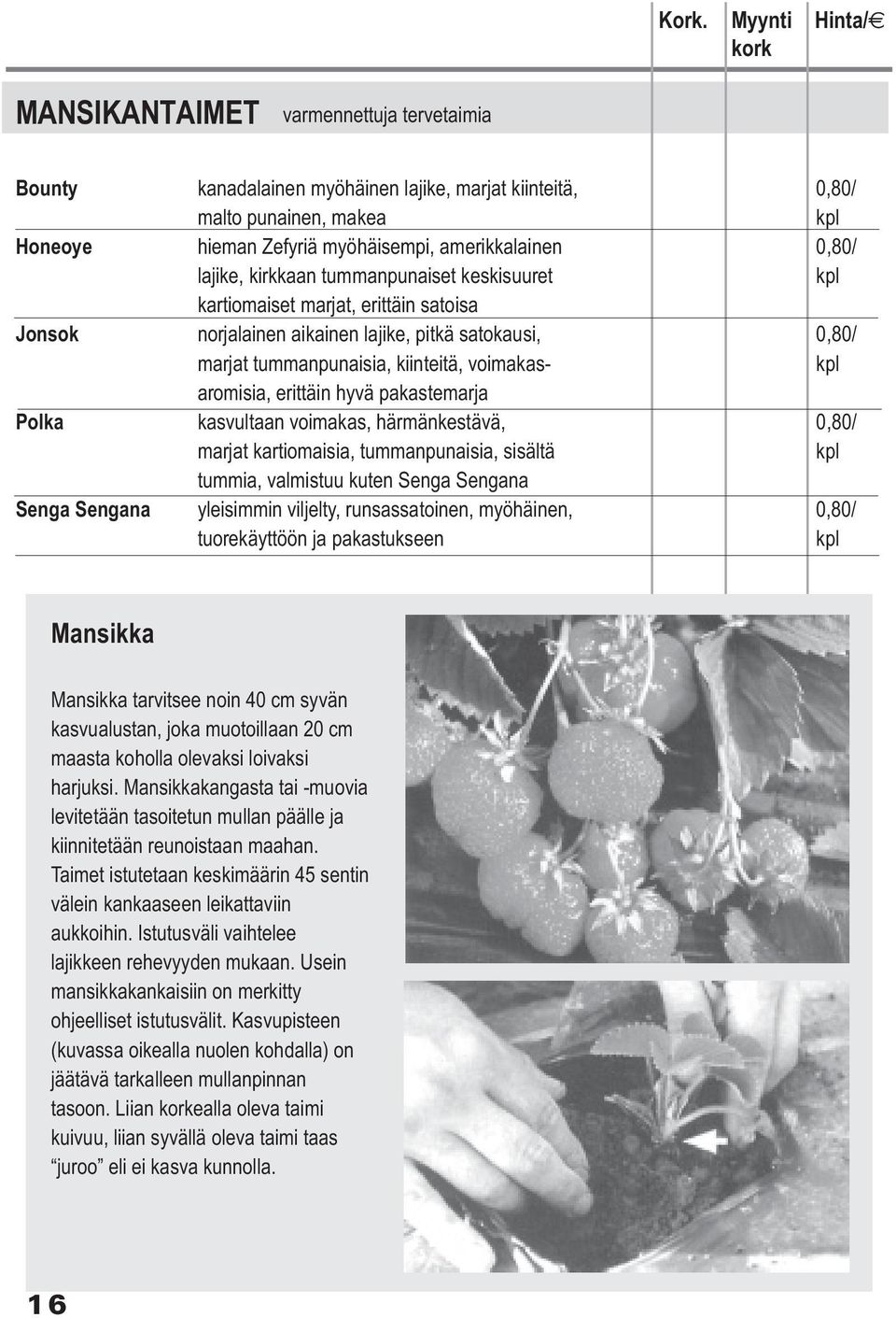 voimakas- kpl aromisia, erittäin hyvä pakastemarja Polka kasvultaan voimakas, härmänkestävä, 0,80/ marjat kartiomaisia, tummanpunaisia, sisältä kpl tummia, valmistuu kuten Senga Sengana Senga Sengana