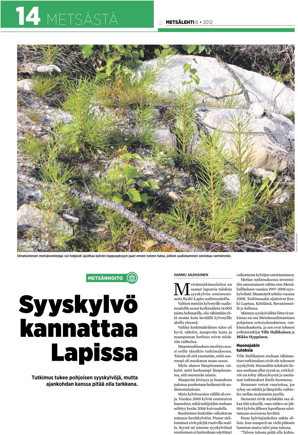 HANNU JAUHIAINEN Metsäntutkimuslaitos on saanut lupaavia tuloksia syyskylvön onnistumisesta Keski-Lapin uudistusaloilla.