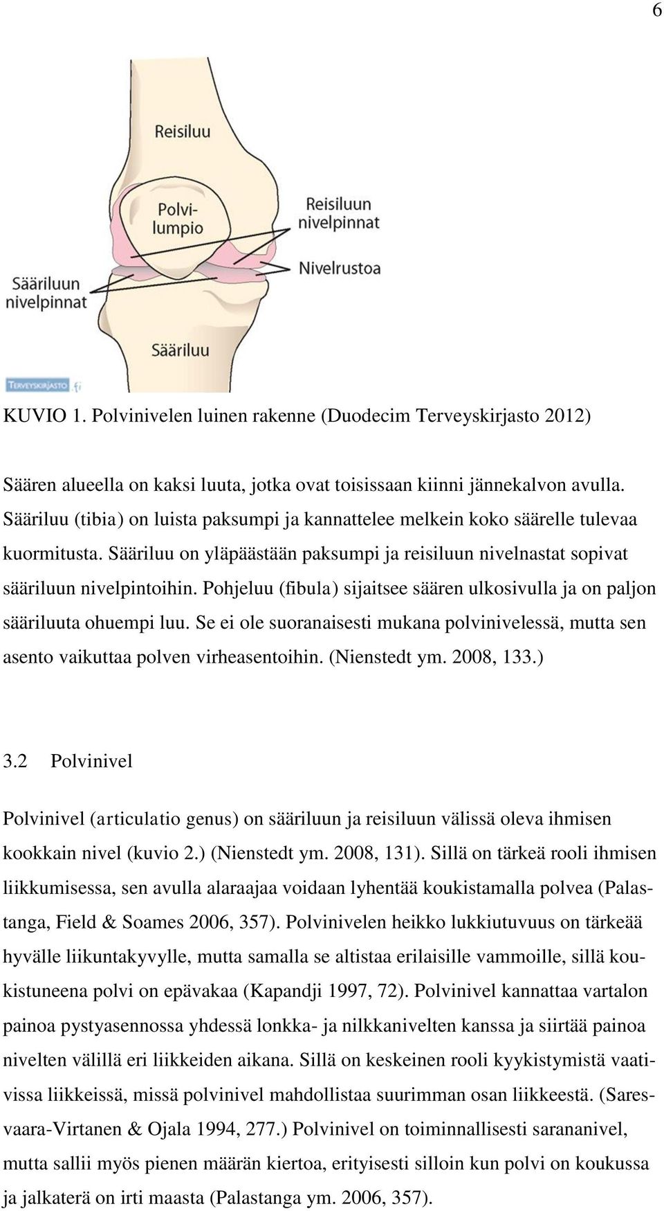 Pohjeluu (fibula) sijaitsee säären ulkosivulla ja on paljon sääriluuta ohuempi luu. Se ei ole suoranaisesti mukana polvinivelessä, mutta sen asento vaikuttaa polven virheasentoihin. (Nienstedt ym.