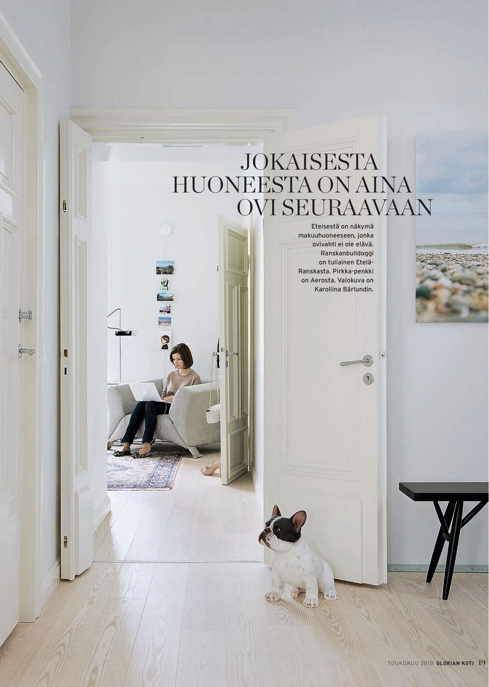 Ranskanbulldoggi on tuliainen Etelä- Ranskasta.