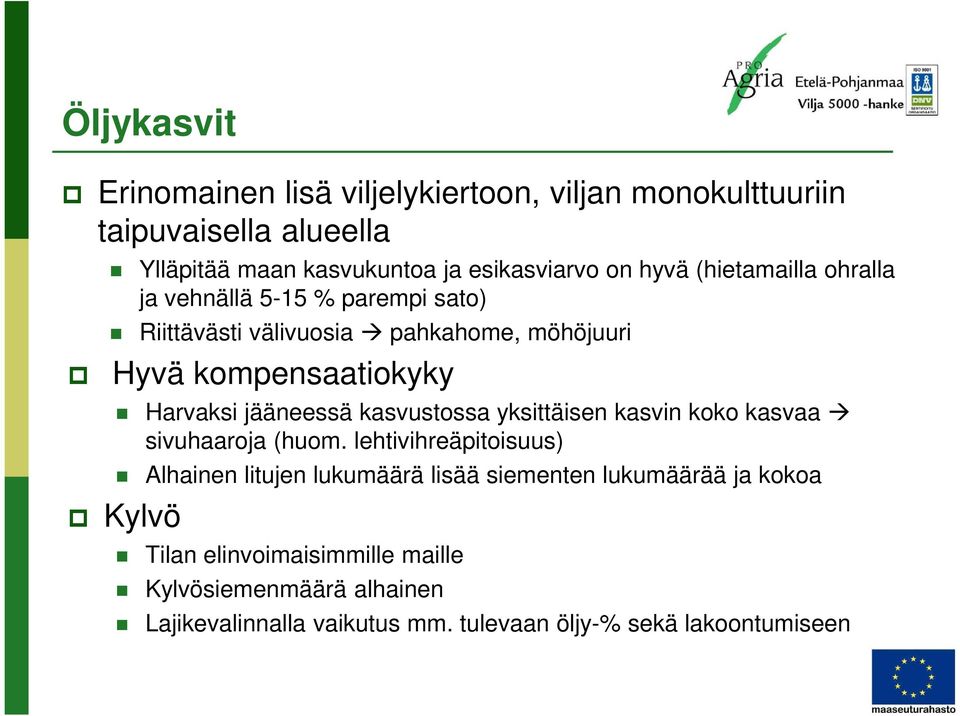 jääneessä kasvustossa yksittäisen kasvin koko kasvaa sivuhaaroja (huom.