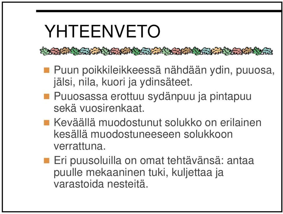 Keväällä muodostunut solukko on erilainen kesällä muodostuneeseen solukkoon