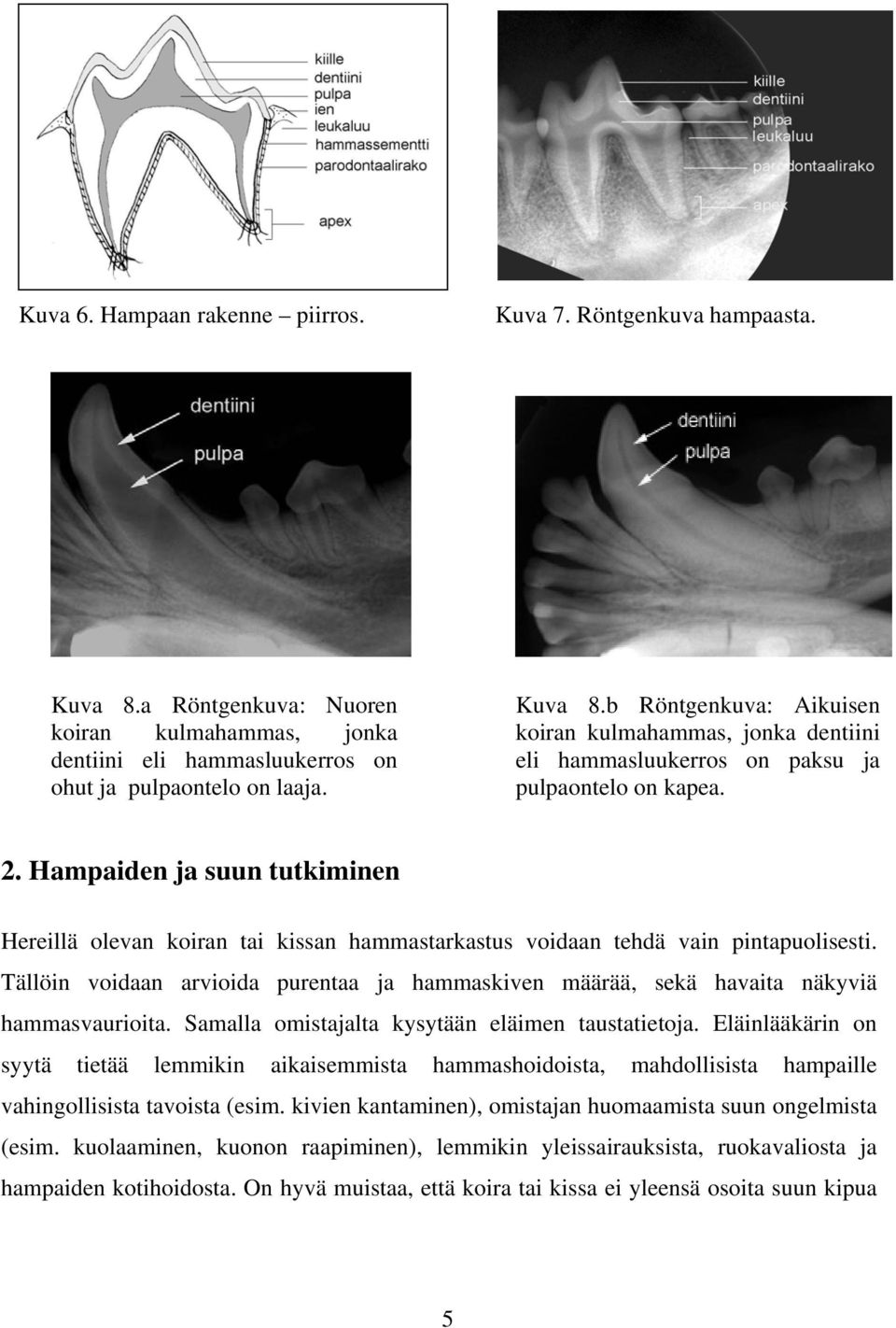 Tällöin voidaan arvioida purentaa ja hammaskiven määrää, sekä havaita näkyviä hammasvaurioita. Samalla omistajalta kysytään eläimen taustatietoja.