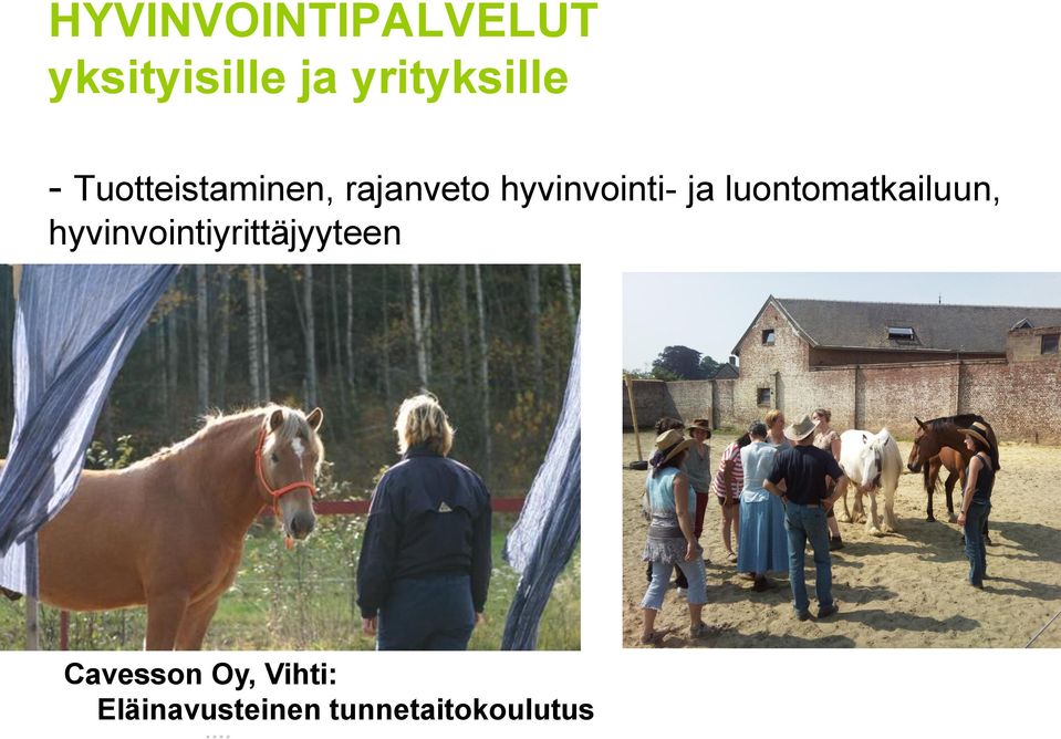 luontomatkailuun, hyvinvointiyrittäjyyteen.