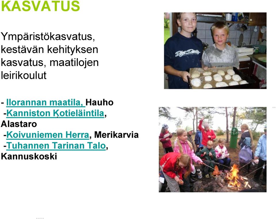 Hauho -Kanniston Kotieläintila,.