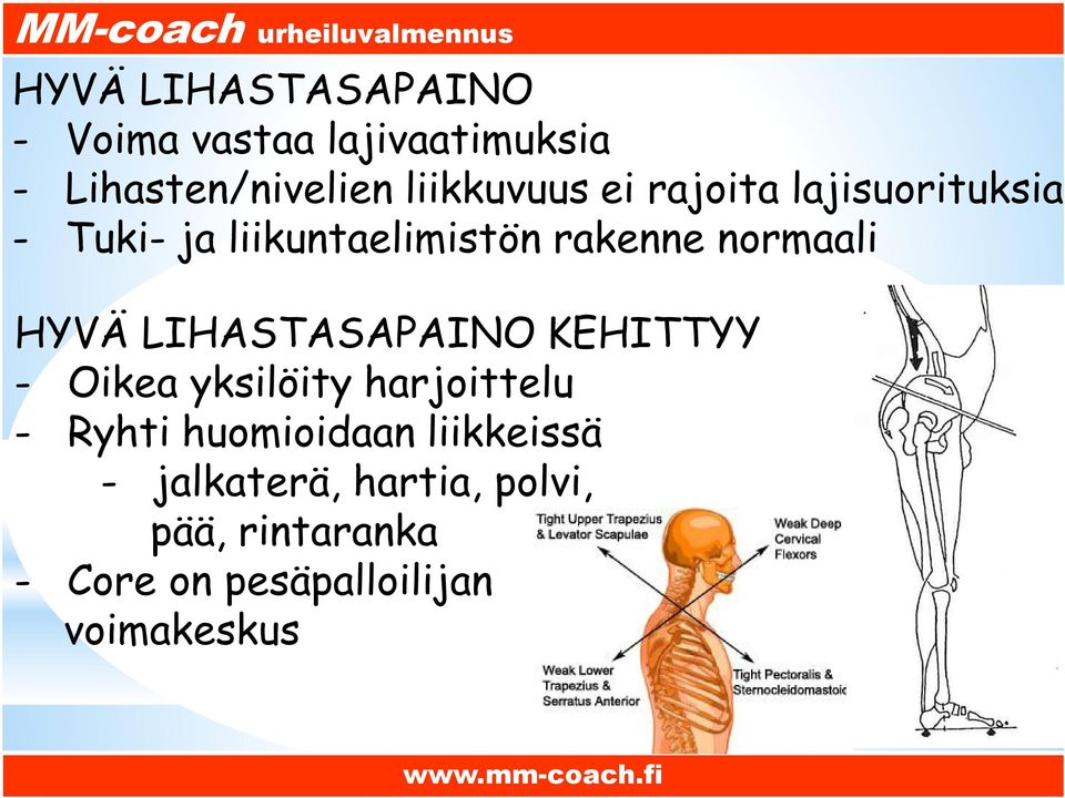 LIHASTASAPAINO KEHITTYY - Oikea yksilöity harjoittelu - Ryhti huomioidaan