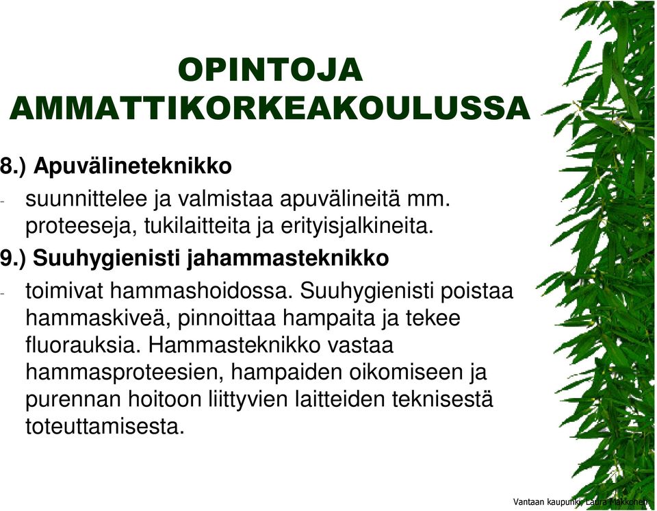 ) Suuhygienisti jahammasteknikko - toimivat hammashoidossa.