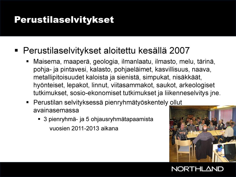 hyönteiset, lepakot, linnut, viitasammakot, saukot, arkeologiset tutkimukset, sosio-ekonomiset tutkimukset ja liikenneselvitys