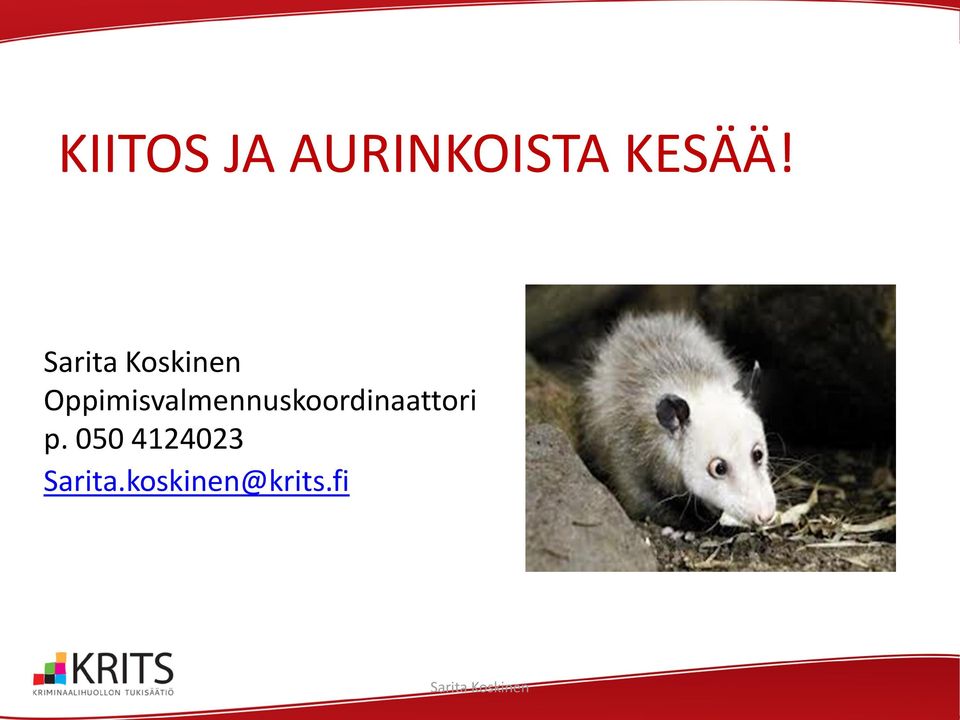 Oppimisvalmennuskoordinaattori p.