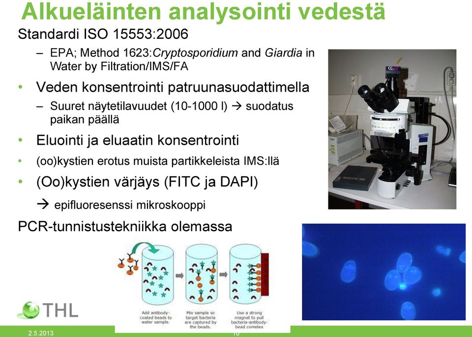 suodatus paikan päällä Eluointi ja eluaatin konsentrointi (oo)kystien erotus muista partikkeleista