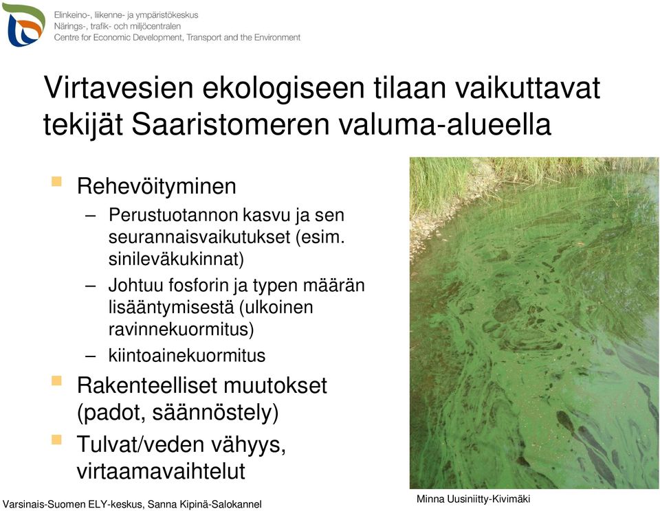 sinileväkukinnat) Johtuu fosforin ja typen määrän lisääntymisestä (ulkoinen ravinnekuormitus)