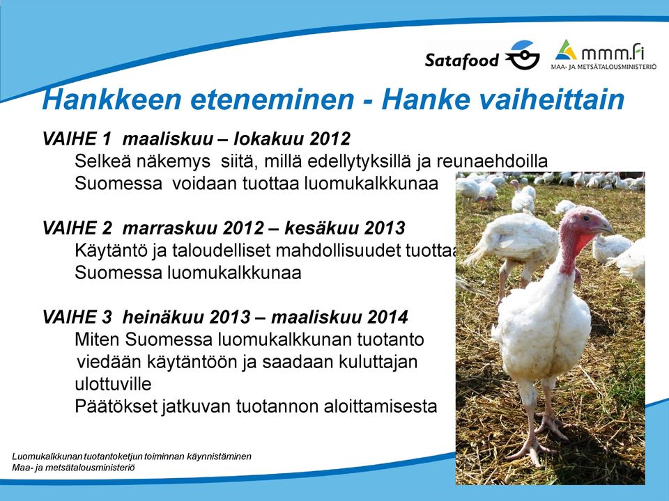 Käytäntö ja taloudelliset mahdollisuudet tuottaa Suomessa luomukalkkunaa VAIHE 3 heinäkuu 2013 maaliskuu 2014
